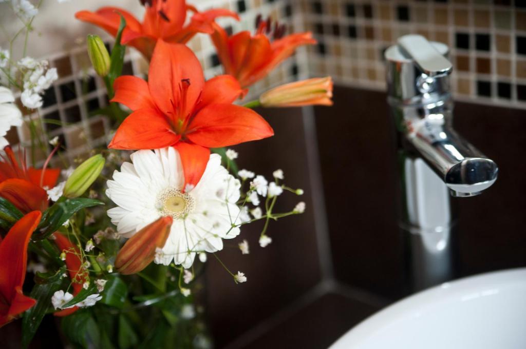 Casa Felicidad B&B Room & Kitchen Playa del Carmen Kamer foto
